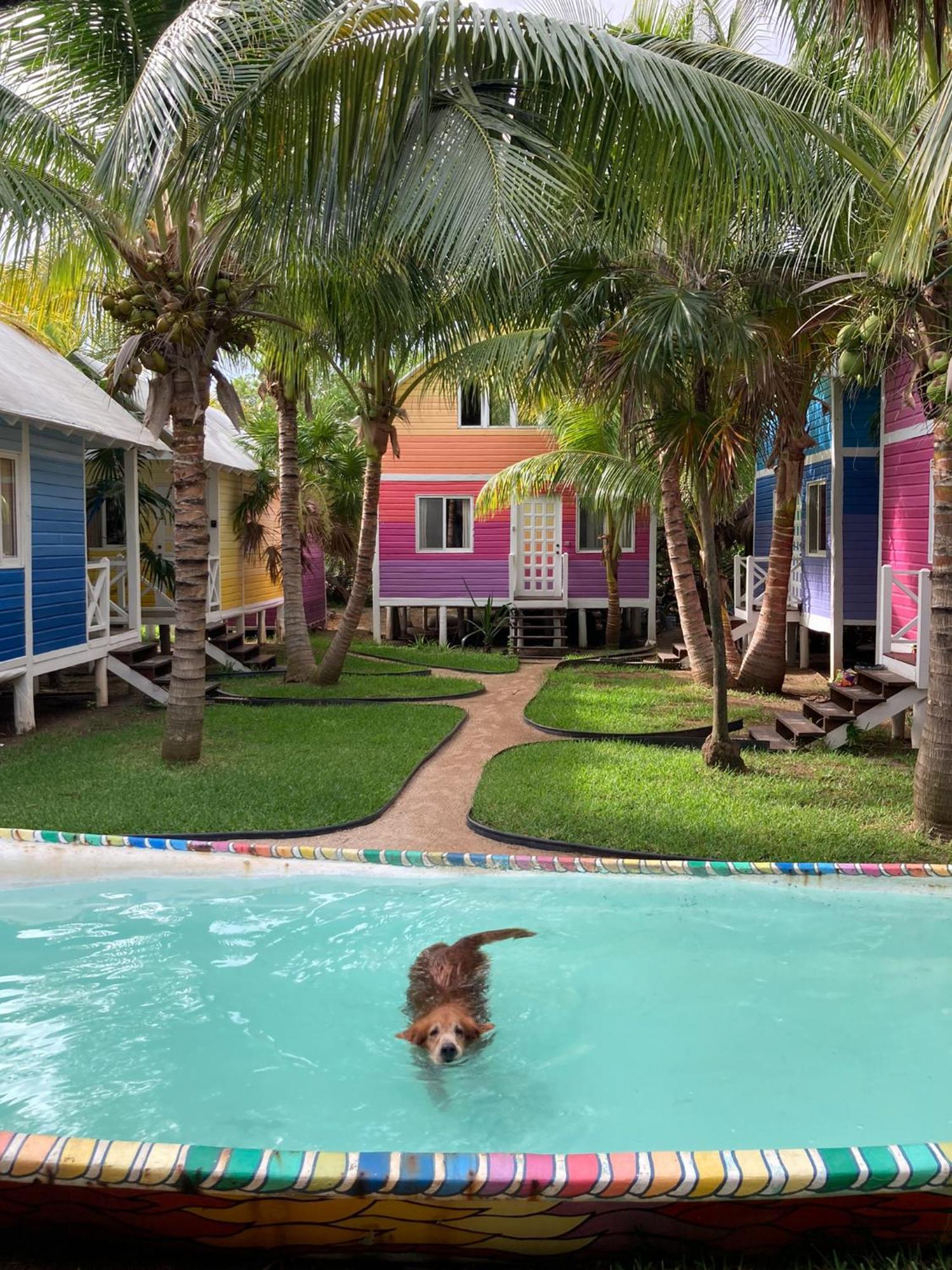 Whyknot Holbox Bed & Breakfast Exterior photo